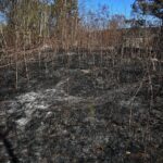 21.04.2020. Sitkówka-Nowiny. Składowisko odpadów / Wiktor Taszłow / Radio Kielce