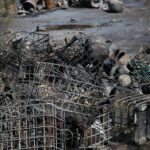 21.04.2020. Sitkówka-Nowiny. Składowisko odpadów / Wiktor Taszłow / Radio Kielce