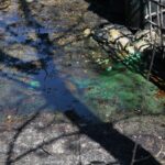 21.04.2020. Sitkówka-Nowiny. Składowisko odpadów / Wiktor Taszłow / Radio Kielce