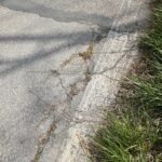 22.04.2020. Kielce. Ścieżka rowerowa wzdłuż Silnicy / Wiktor Taszłow / Radio Kielce