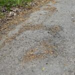 22.04.2020. Kielce. Ścieżka rowerowa wzdłuż Silnicy / Wiktor Taszłow / Radio Kielce