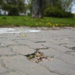 22.04.2020. Kielce. Ścieżka rowerowa wzdłuż Silnicy / Wiktor Taszłow / Radio Kielce