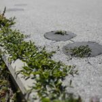 23.04.2020 Kielce. Ścieżka rowerowa / Wiktor Taszłow / Radio Kielce