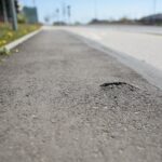 23.04.2020 Kielce. Ścieżka rowerowa / Wiktor Taszłow / Radio Kielce