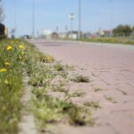 23.04.2020 Kielce. Ścieżka rowerowa wzdłuż ulicy Grunwaldzkiej / Wiktor Taszłow / Radio Kielce