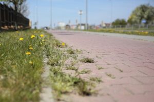 23.04.2020 Kielce. Ścieżka rowerowa wzdłuż ulicy Grunwaldzkiej / Wiktor Taszłow / Radio Kielce