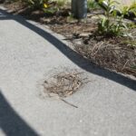 23.04.2020 Kielce. Ścieżka rowerowa wzdłuż ul. Krakowskiej / Wiktor Taszłow / Radio Kielce