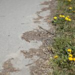 23.04.2020 Kielce. Ścieżka rowerowa / Wiktor Taszłow / Radio Kielce