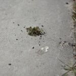 23.04.2020 Kielce. Ścieżka rowerowa / Wiktor Taszłow / Radio Kielce