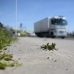 23.04.2020 Kielce. Ścieżka rowerowa wzdłuż ul. Krakowskiej / Wiktor Taszłow / Radio Kielce