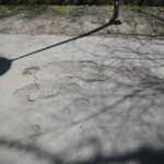 23.04.2020 Kielce. Ścieżka rowerowa / Wiktor Taszłow / Radio Kielce