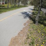 23.04.2020 Kielce. Ścieżka rowerowa wzdłuż alei Solidarności / Wiktor Taszłow / Radio Kielce