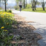 23.04.2020 Kielce. Ścieżka rowerowa wzdłuż alei Solidarności / Wiktor Taszłow / Radio Kielce