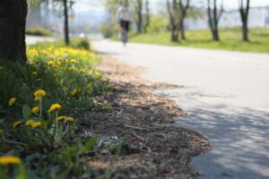 23.04.2020 Kielce. Ścieżka rowerowa wzdłuż alei Solidarności / Wiktor Taszłow / Radio Kielce