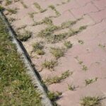 23.04.2020 Kielce. Ścieżka rowerowa / Wiktor Taszłow / Radio Kielce