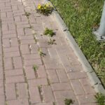 23.04.2020 Kielce. Ścieżka rowerowa / Wiktor Taszłow / Radio Kielce