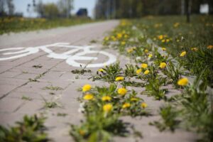 23.04.2020 Kielce. Ścieżka rowerowa wzdłuż ul. Łódzkiej / Wiktor Taszłow / Radio Kielce