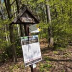 28.04.2020. Bukowa Góra / Wiktor Taszłow / Radio Kielce