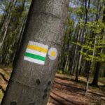 28.04.2020. Bukowa Góra / Wiktor Taszłow / Radio Kielce