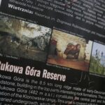 28.04.2020. Bukowa Góra / Wiktor Taszłow / Radio Kielce