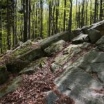 28.04.2020. Bukowa Góra / Wiktor Taszłow / Radio Kielce