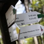 28.04.2020. Bukowa Góra / Wiktor Taszłow / Radio Kielce