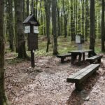 28.04.2020. Bukowa Góra / Wiktor Taszłow / Radio Kielce