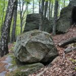 28.04.2020. Bukowa Góra / Wiktor Taszłow / Radio Kielce