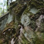 28.04.2020. Bukowa Góra / Wiktor Taszłow / Radio Kielce