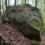 28.04.2020. Bukowa Góra / Wiktor Taszłow / Radio Kielce