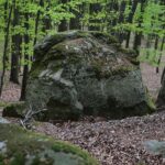 28.04.2020. Bukowa Góra / Wiktor Taszłow / Radio Kielce