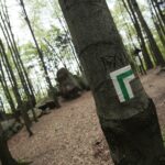 28.04.2020. Bukowa Góra / Wiktor Taszłow / Radio Kielce