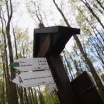 28.04.2020. Bukowa Góra / Wiktor Taszłow / Radio Kielce