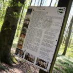 28.04.2020. Bukowa Góra / Wiktor Taszłow / Radio Kielce