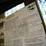 28.04.2020. Bukowa Góra / Wiktor Taszłow / Radio Kielce