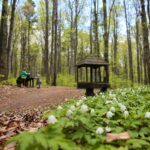 28.04.2020. Bukowa Góra / Wiktor Taszłow / Radio Kielce