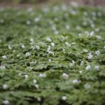 28.04.2020. Bukowa Góra / Wiktor Taszłow / Radio Kielce