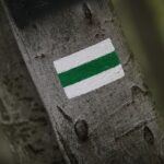 28.04.2020. Bukowa Góra / Wiktor Taszłow / Radio Kielce