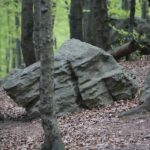 28.04.2020. Bukowa Góra / Wiktor Taszłow / Radio Kielce