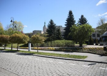 27.04.2020 Kielce. Wiosenne porządki / Wiktor Taszłow / Radio Kielce