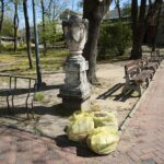 27.04.2020 Kielce. Wiosenne porządki / Wiktor Taszłow / Radio Kielce