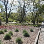 27.04.2020 Kielce. Wiosenne porządki / Wiktor Taszłow / Radio Kielce