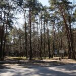 05.04.2020. Kielce. Opustoszałe miasto / Wiktor Taszłow / Radio Kielce