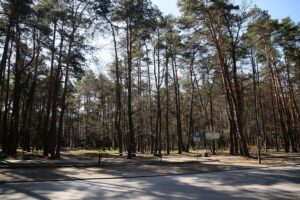 05.04.2020. Kielce. Opustoszałe miasto / Wiktor Taszłow / Radio Kielce
