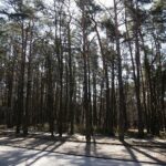 05.04.2020. Kielce. Opustoszałe miasto / Wiktor Taszłow / Radio Kielce