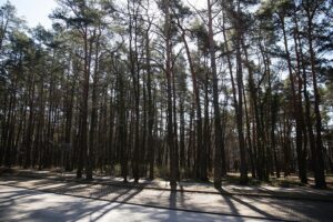 05.04.2020. Kielce. Opustoszałe miasto / Wiktor Taszłow / Radio Kielce