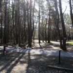 05.04.2020. Kielce. Opustoszałe miasto / Wiktor Taszłow / Radio Kielce