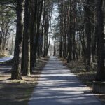 05.04.2020. Kielce. Opustoszałe miasto / Wiktor Taszłow / Radio Kielce