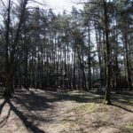 05.04.2020. Kielce. Opustoszałe miasto / Wiktor Taszłow / Radio Kielce