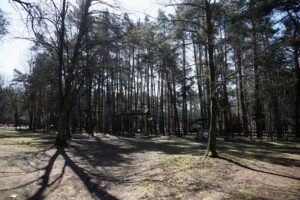 05.04.2020. Kielce. Opustoszałe miasto / Wiktor Taszłow / Radio Kielce